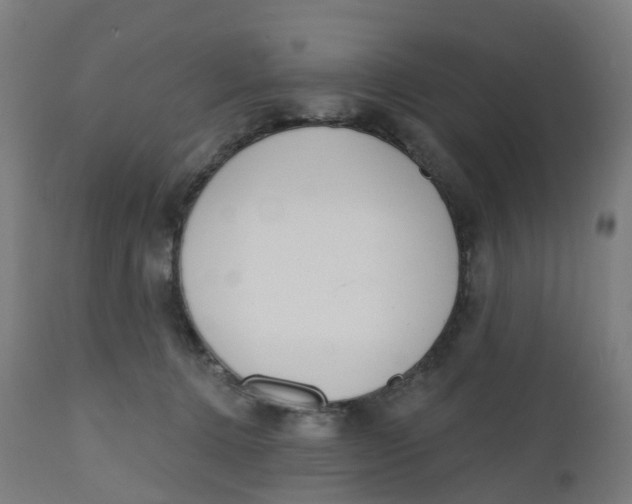 X0000112500368200909071250