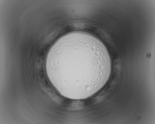 X0000112500369200909071250