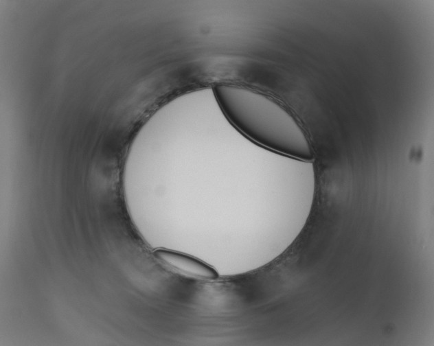 X0000112500372200909071251