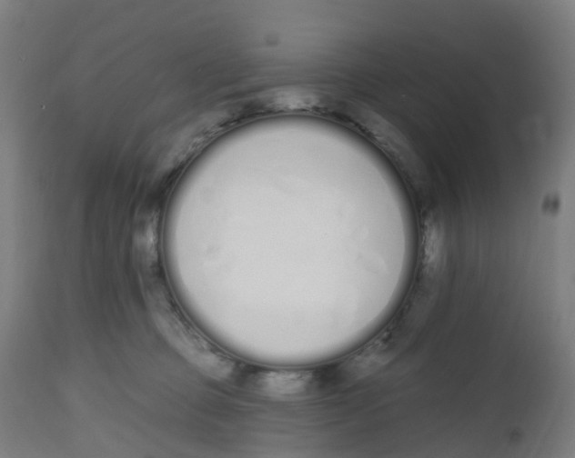 X0000112500373200909071251