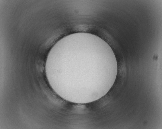 X0000112500374200909071251