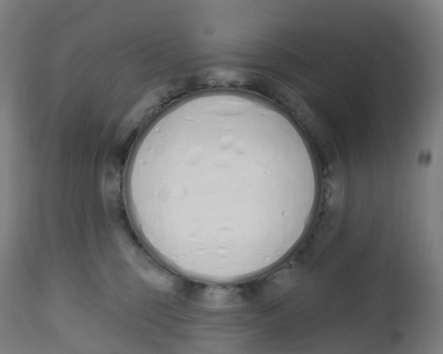 X0000112500375200909071251