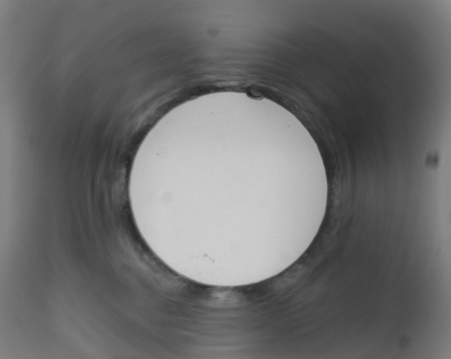 X0000112500376200909071251