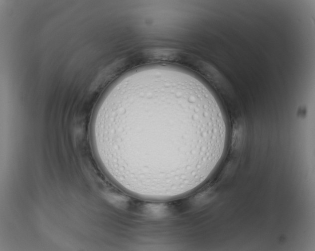 X0000112500377200909071251