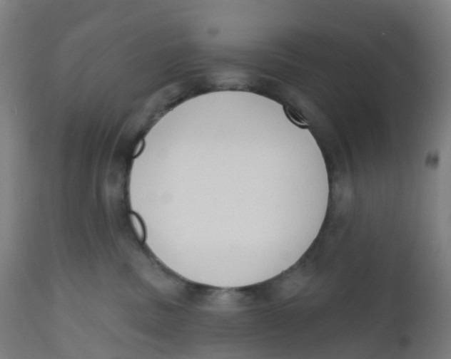 X0000112500379200909071251