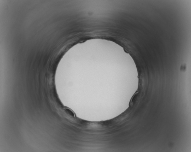 X0000112500380200909071251