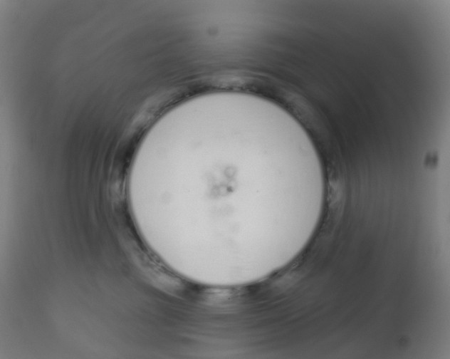 X0000112500381200909071251