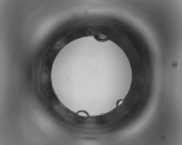 X0000112500382200909071251