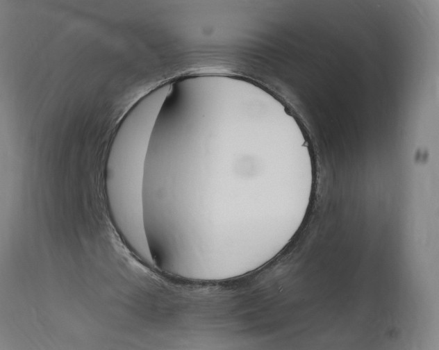 X0000112500385200909071250