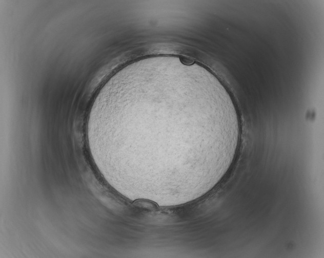 X0000112500386200909071250