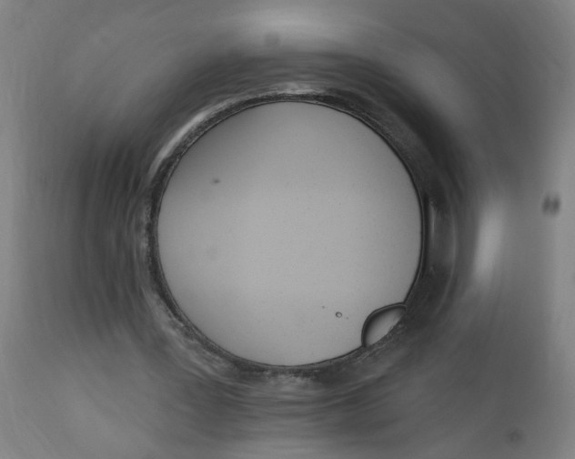 X0000112500387200909071250