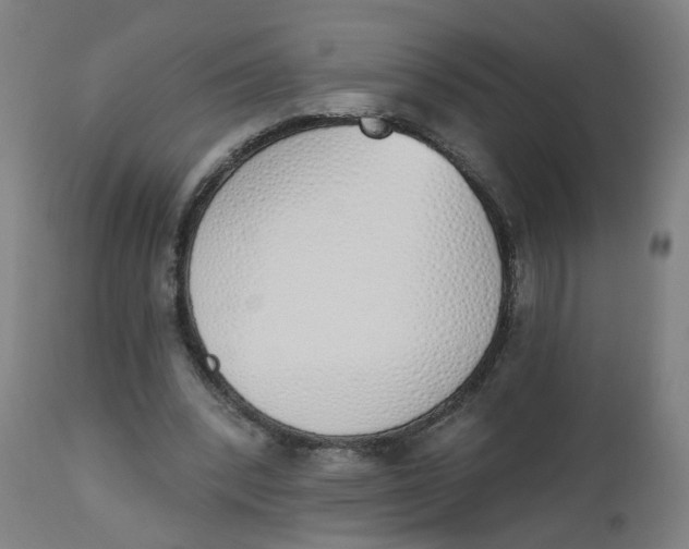 X0000112500392200909071250