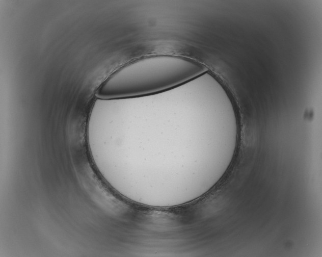 X0000112500393200909071250