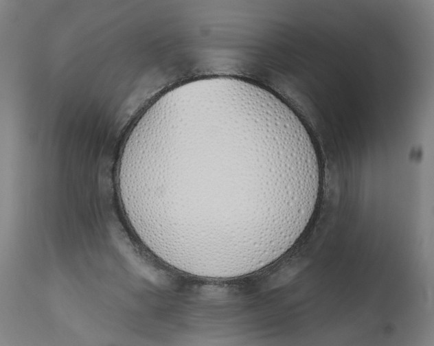 X0000112500394200909071250