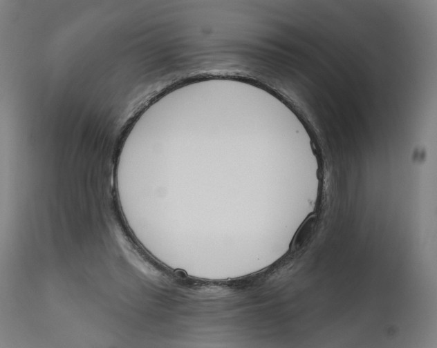 X0000112500397200909071250