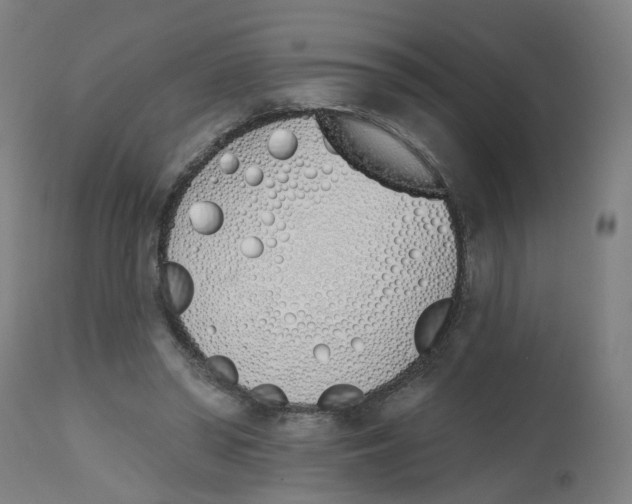 X0000112500398200909071250