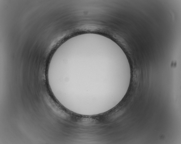 X0000112500399200909071250