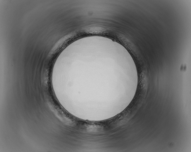 X0000112500400200909071250