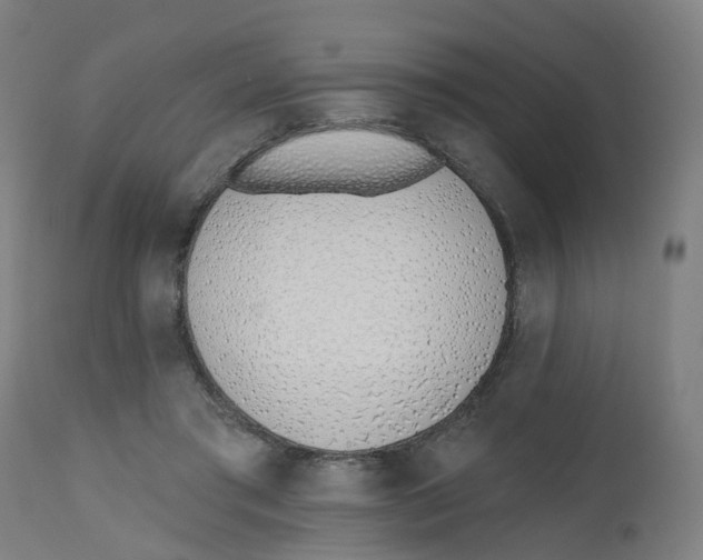 X0000112500405200909071250