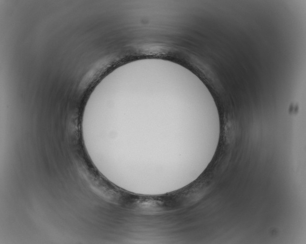 X0000112500407200909071250