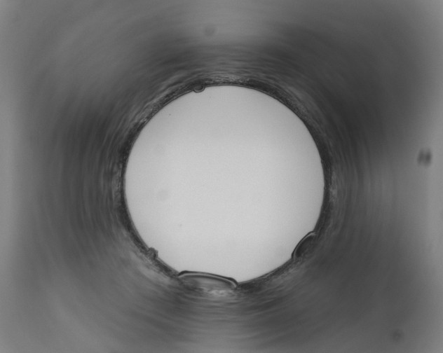 X0000112500409200909071250