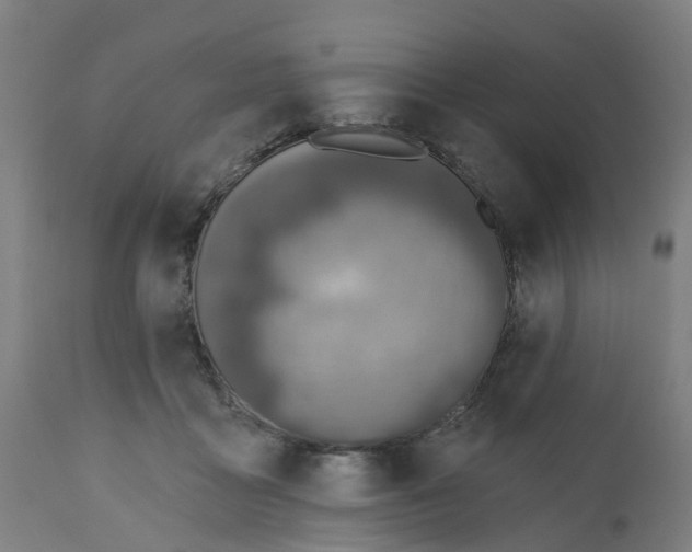 X0000112500411200909071249