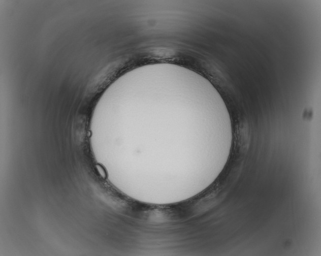 X0000112500412200909071249