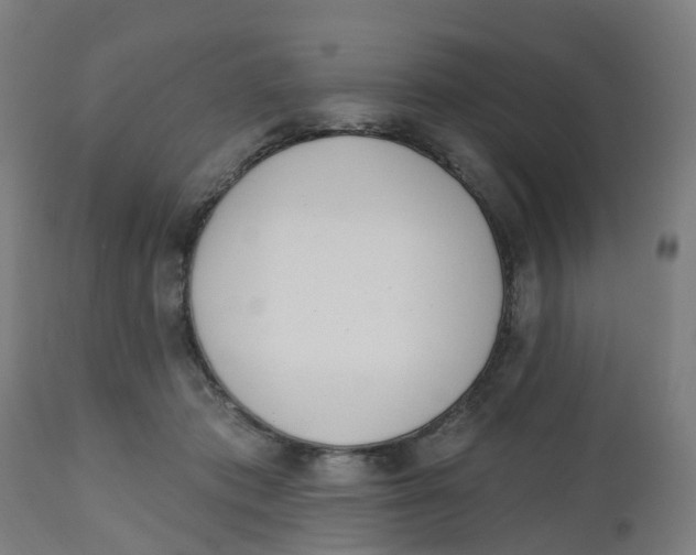 X0000112500413200909071249