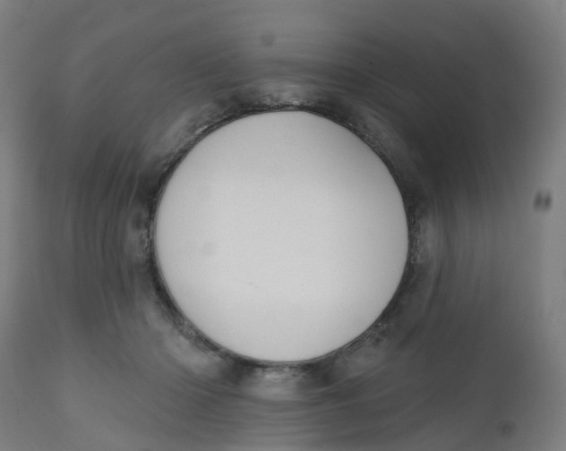 X0000112500414200909071249