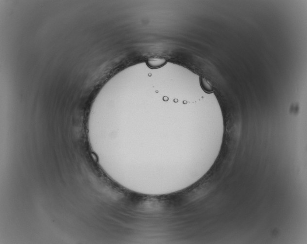 X0000112500416200909071249