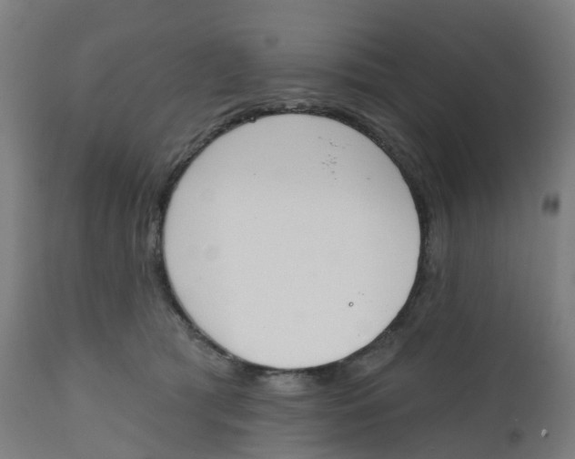 X0000112500417200909071249