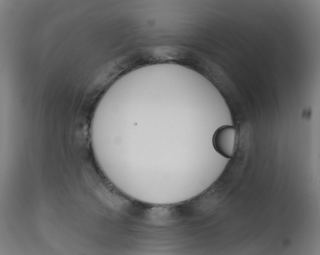 X0000112500418200909071249