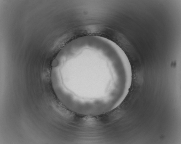 X0000112500419200909071249