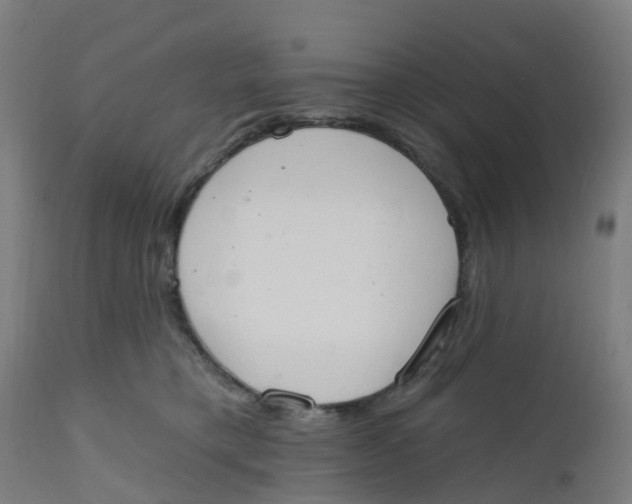 X0000112500421200909071249