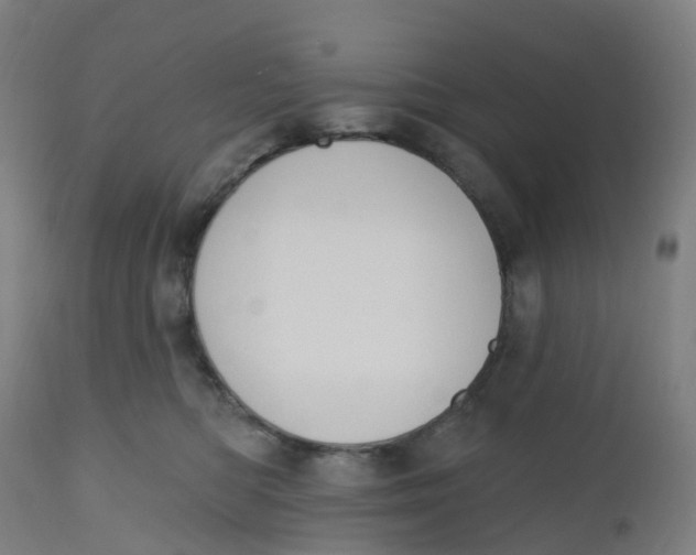 X0000112500422200909071249