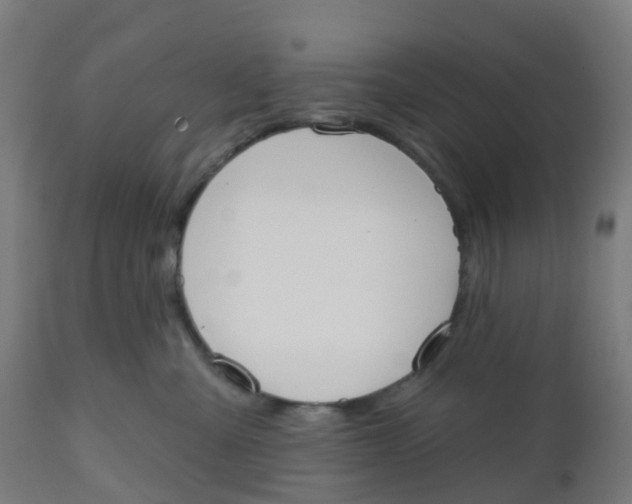 X0000112500427200909071249