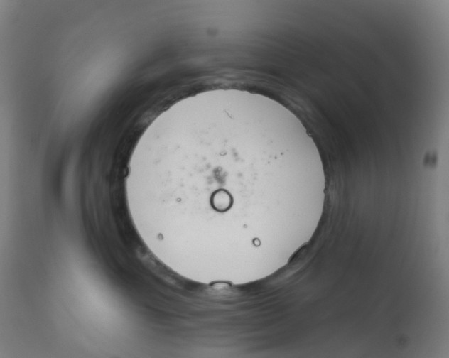 X0000112500429200909071249