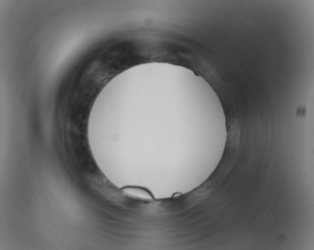 X0000112500430200909071249