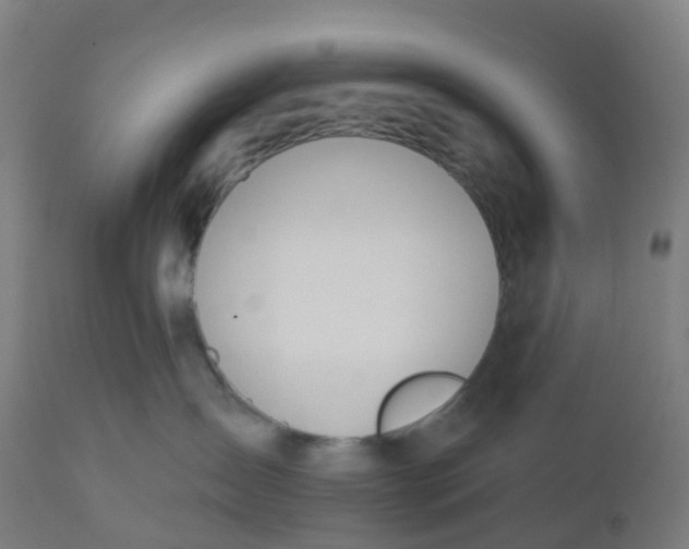 X0000112500431200909071249