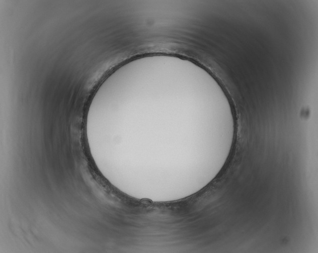 X0000112500434200909071249