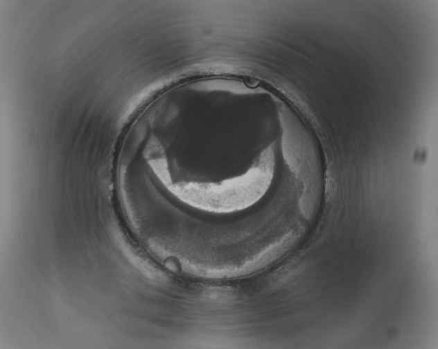 X0000112500438200909071249