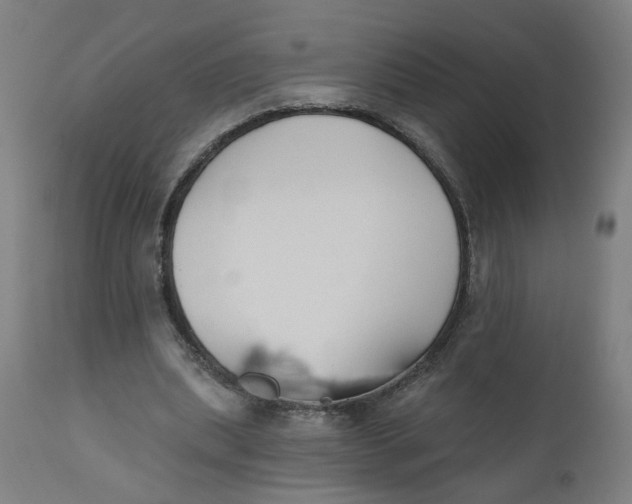 X0000112500439200909071249