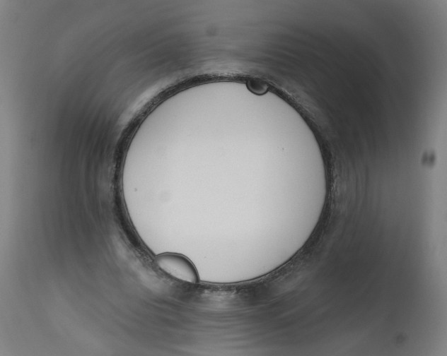 X0000112500440200909071249