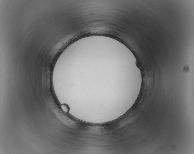 X0000112500446200909071249