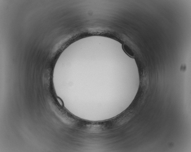 X0000112500448200909071249