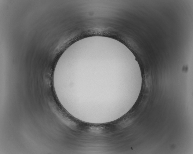 X0000112500450200909071249