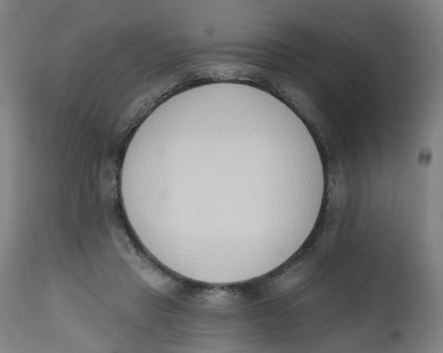 X0000112500453200909071249