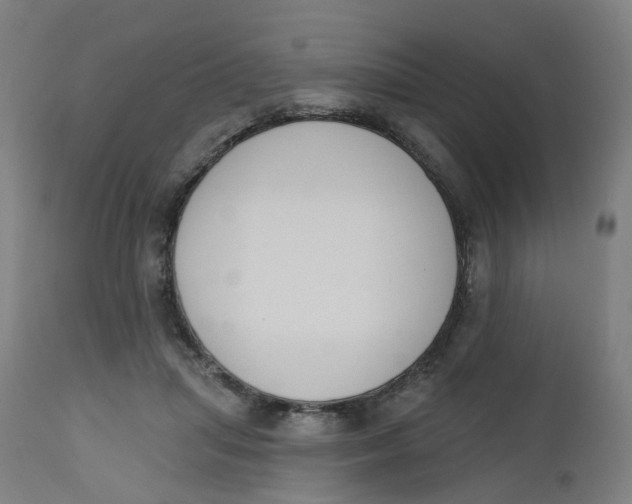 X0000112500455200909071249