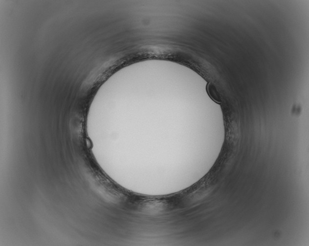 X0000112500456200909071249