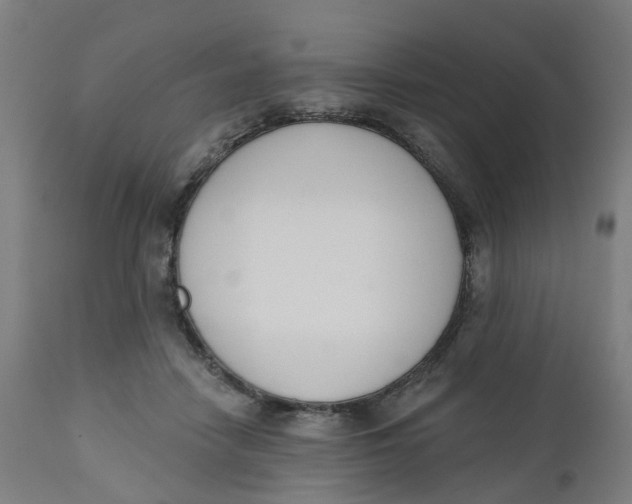 X0000112500458200909071249